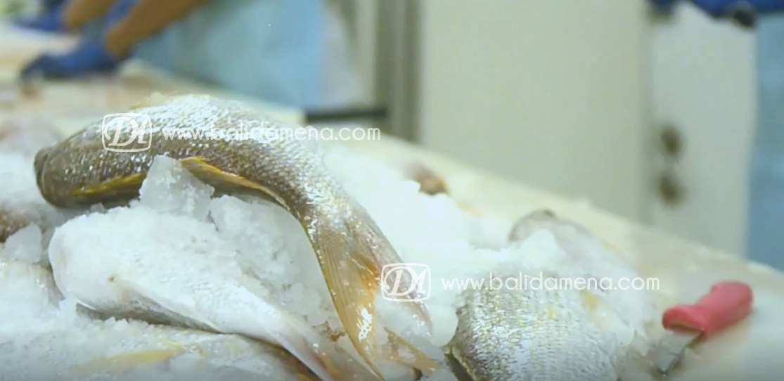 Sterilization & Sanitation Fish